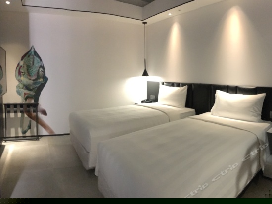 舒适双床房（无窗）