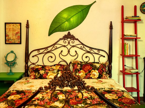 哈瓦那之春（大床）