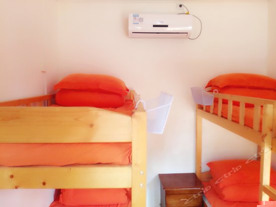 四人上下铺（床位房）