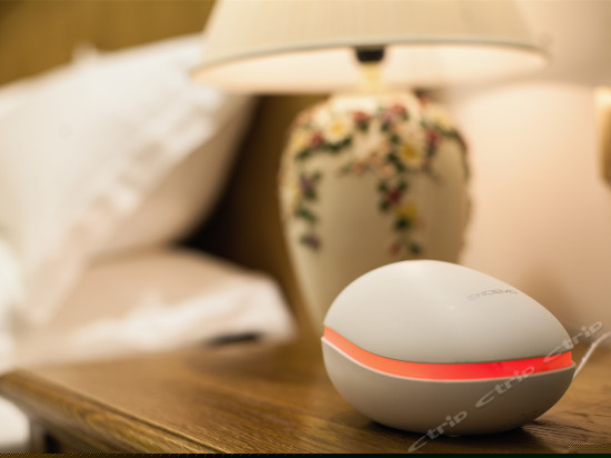 闲情逸致家庭房