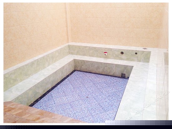 Vip豪华温泉双床间