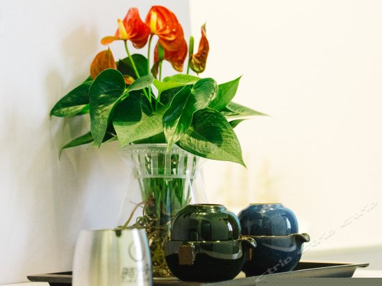 漫心莳光单人房