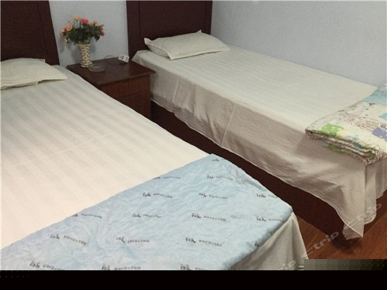 标准双人间