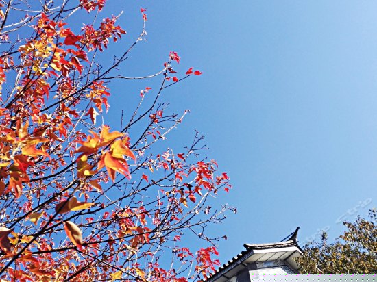 观山看海大理古城别墅