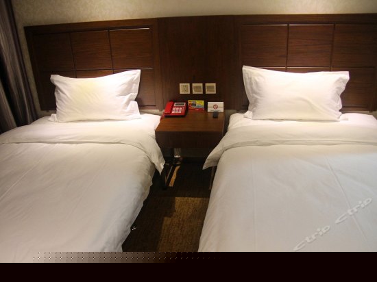 内景标准间（无窗）