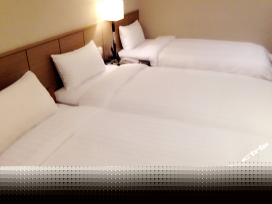 精致三人房 (无窗)