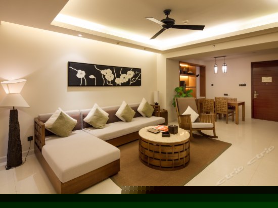 豪华园景套房（一房一厅）