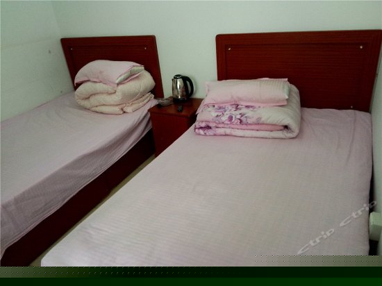 标准双床间