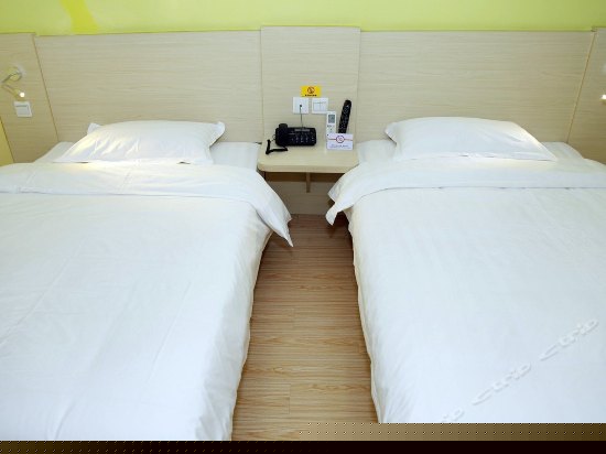 标准双床房