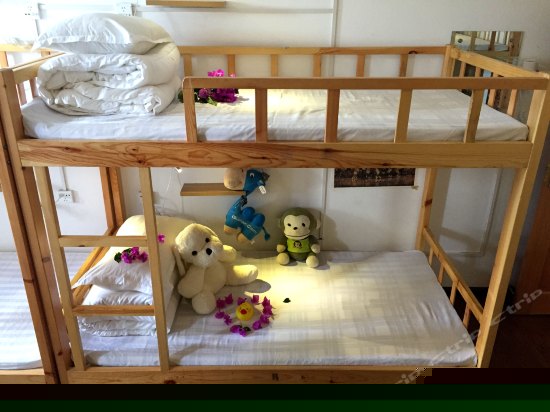 豪华混住14人间（按床位）