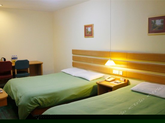 家庭房（无窗）