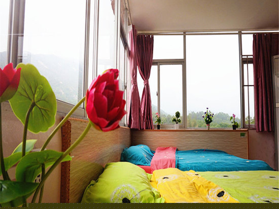 豪华观景双床房