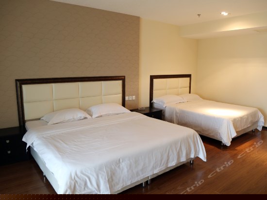 海上音乐厅海景双床房