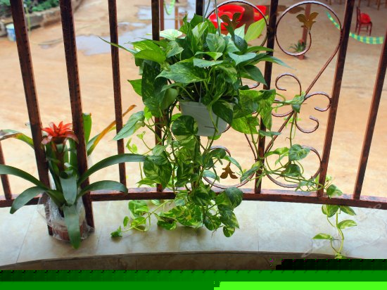 阳台岛景标准间