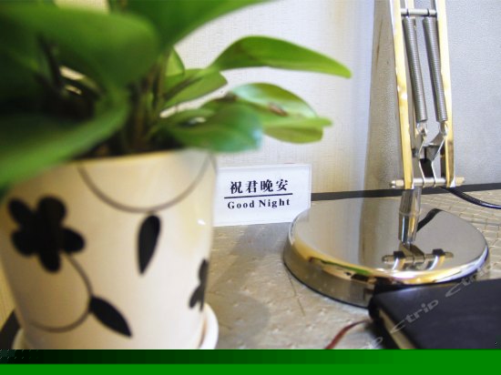 精品丽景大床房