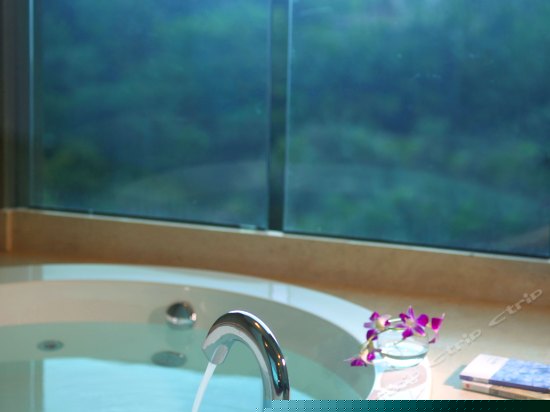 长天轩海景套房一室一厅