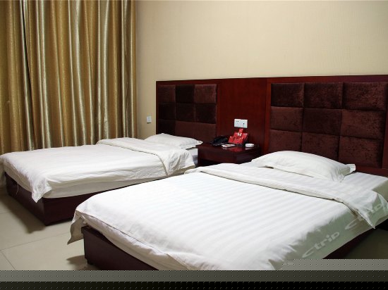 普通行政标准间