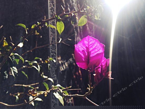 观山看海大理古城别墅