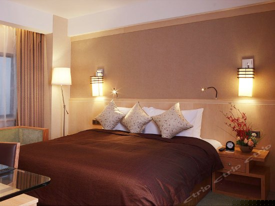 豪门套房（日式套房）