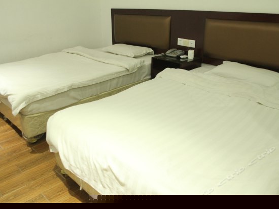 标准双人房（无窗）