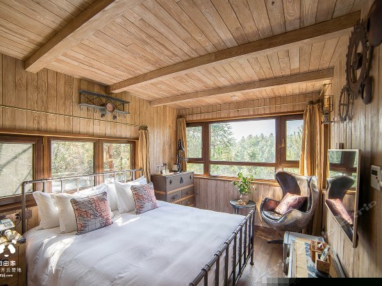 树屋世界蒸汽机