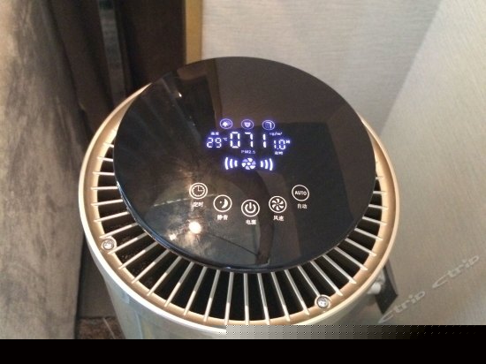 精致空气氧吧房（无窗）