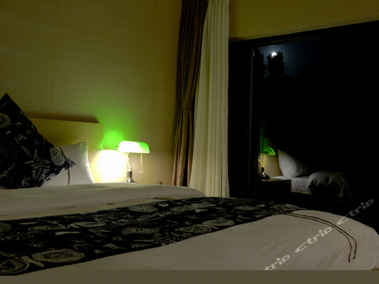 别墅豪华星空房