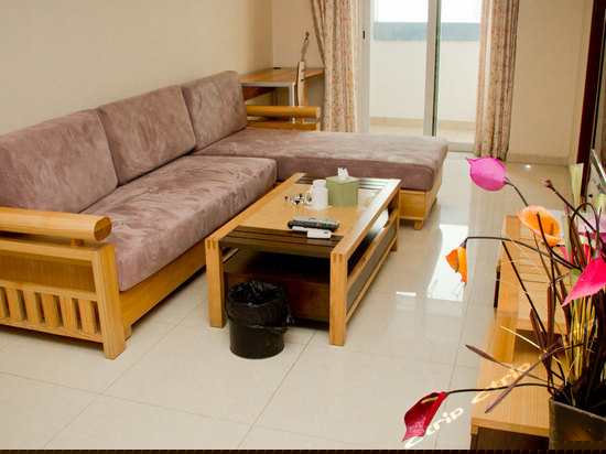 二房二厅(豪华)