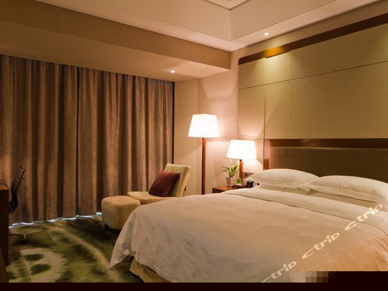 纽伦堡行政大床房