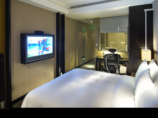 寰宇客房双人房