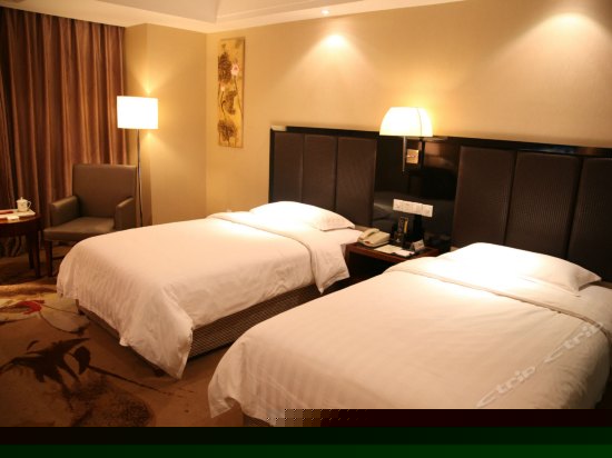 高级标准双床房