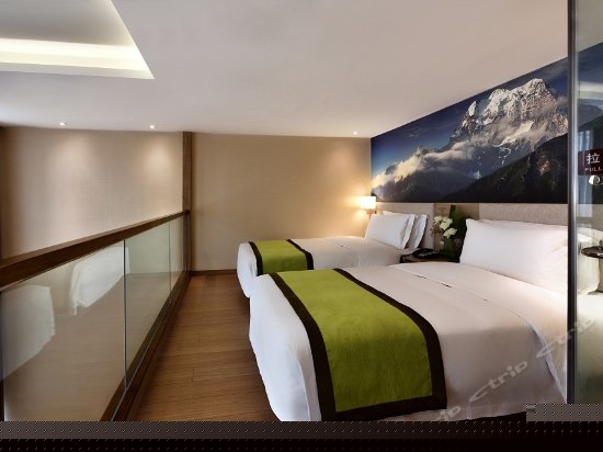 复式行政双床房