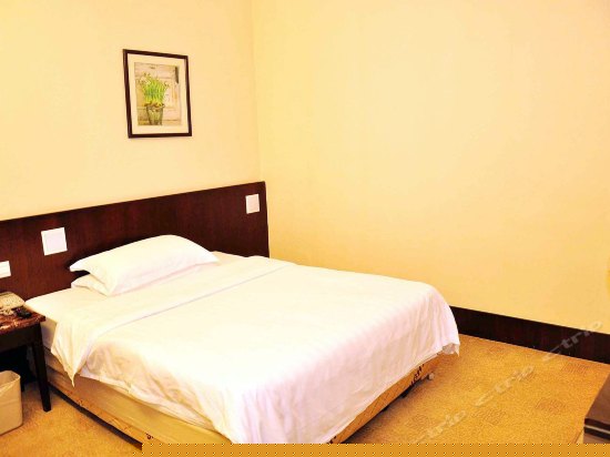 普通大床15房(无窗)