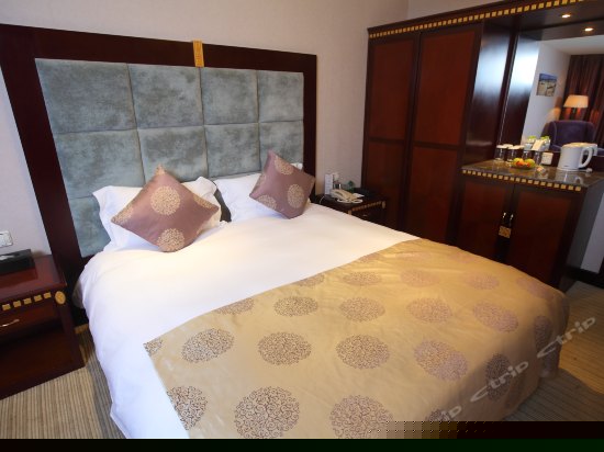 高级行政标准间