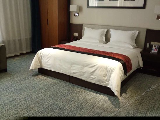 禅意行政大床房