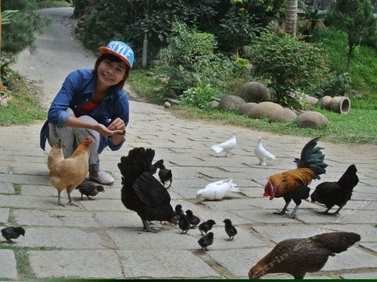 儿童乐园/儿童俱乐部