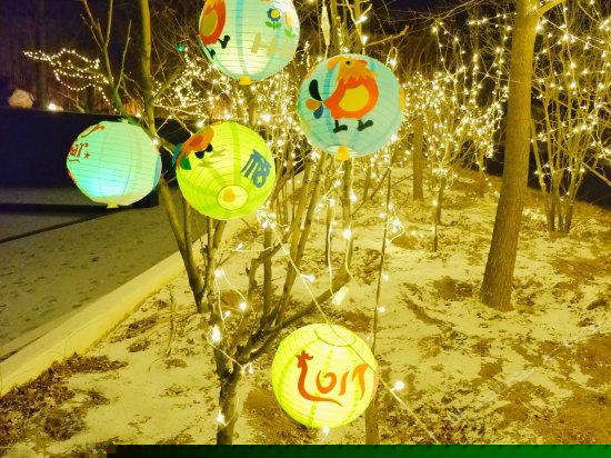 儿童乐园/儿童俱乐部