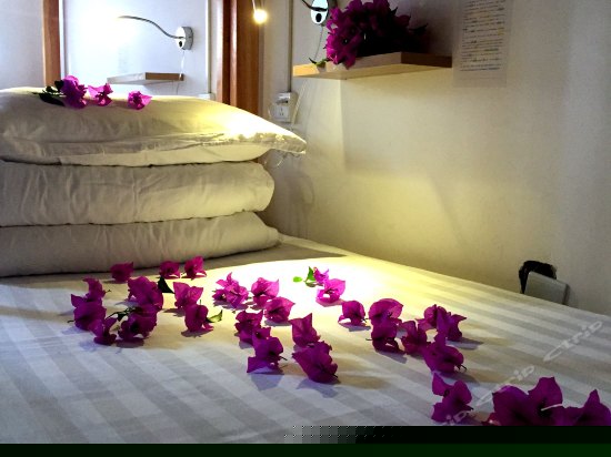 豪华女生8人间(床位)