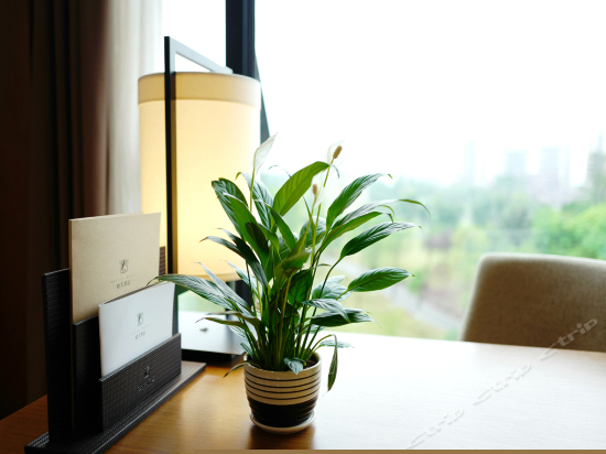 休闲园景度假房