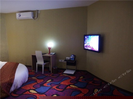 个性圆床房(无窗）