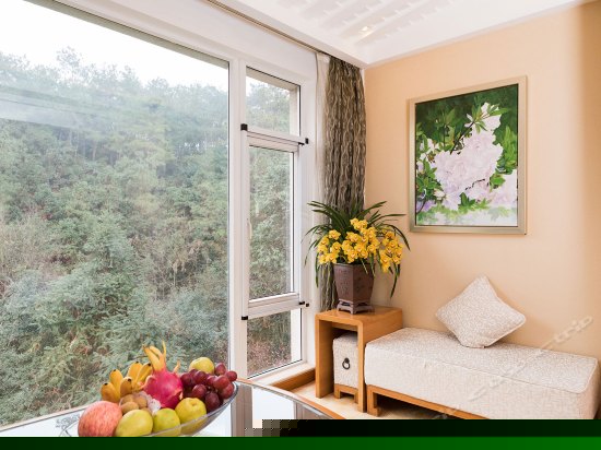 8号楼山景大床间