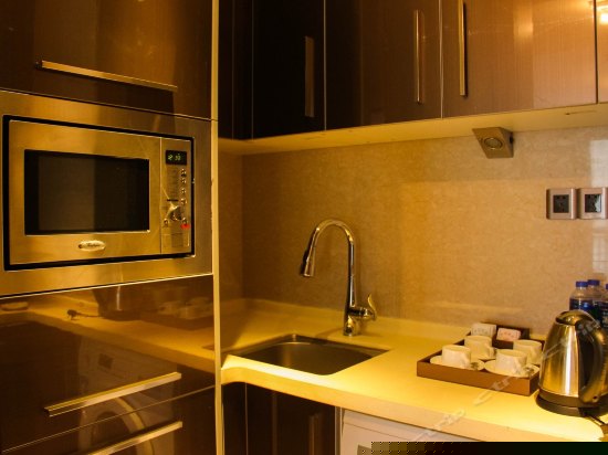 豪华套房(一房一厅)