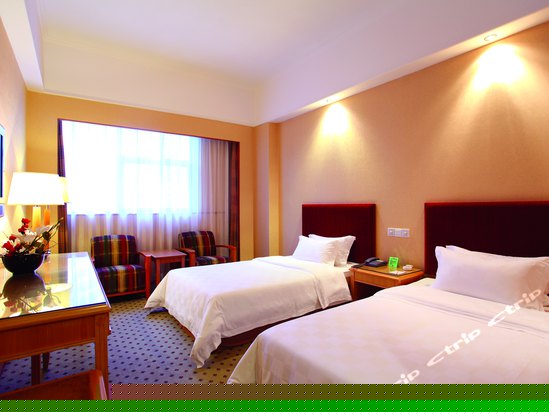 标准双床房