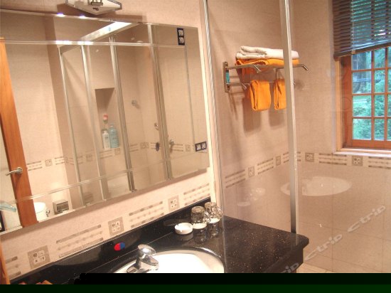 别墅豪华大床房