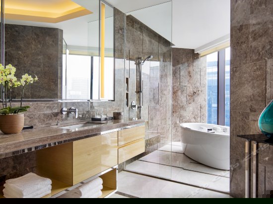 至尊豪华开放式客房