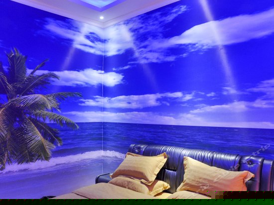 一室一厅影视间