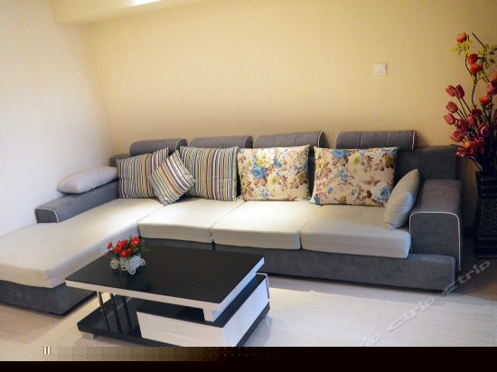 商务市景房（一房一厅）