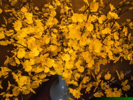 豪华阳台小套房