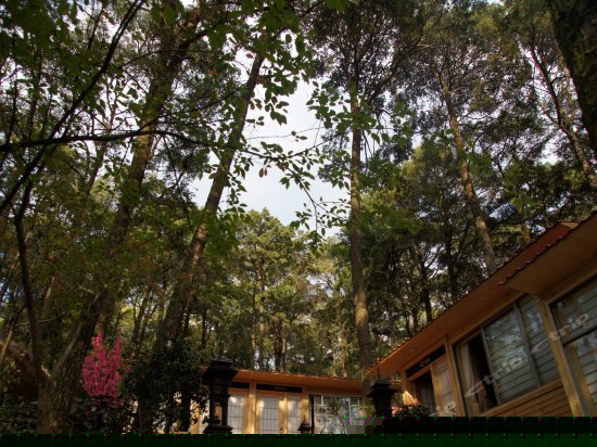 日式主题大床房