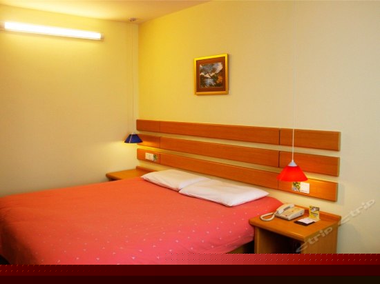 商务大床房(内宾)